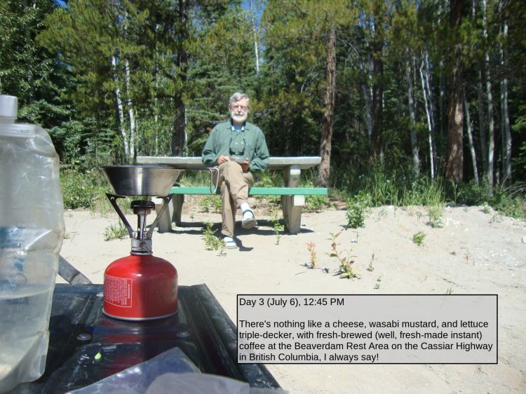 Day 3 (July 6), 12:45 PM

There's nothing like a cheese, wasabi mustard, and lettuce triple-decker, with fresh-brewed (well, fresh-made instant) coffee at the Beaverdam Rest Area on the Cassiar Highway in British Columbia, I always say!