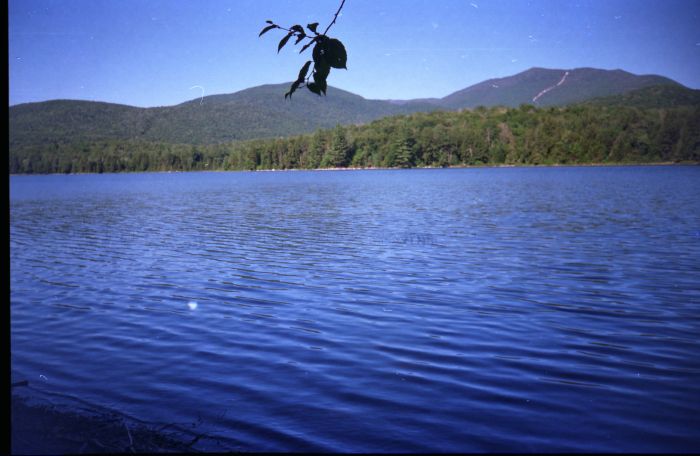 Looking north across Moose Pond