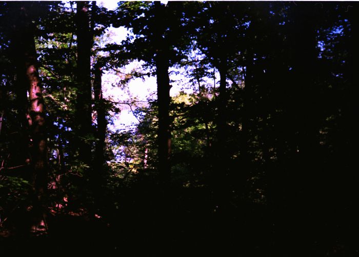 Looking southwest toward Moose Pond from the trail heading north; I left my site at 9:30 AM.