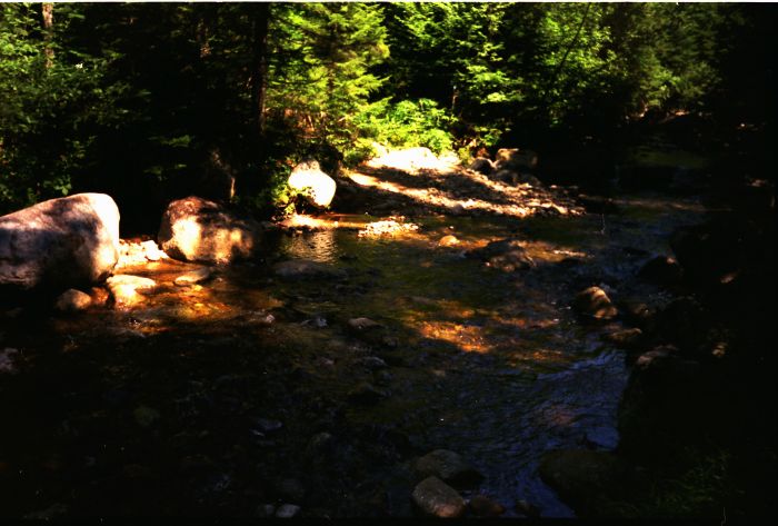 Two hours from Moose Pond, the trail crosses Callahan Brook