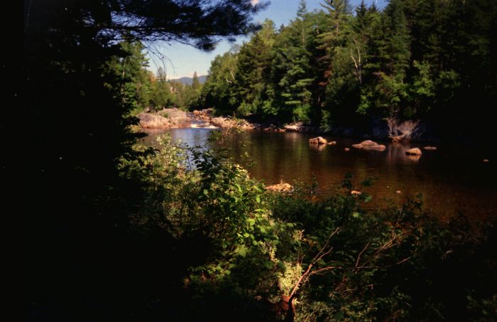 North along the Cold River, between Shattuck Clearing and the Seward Leanto on the Northville-Placid Trail.