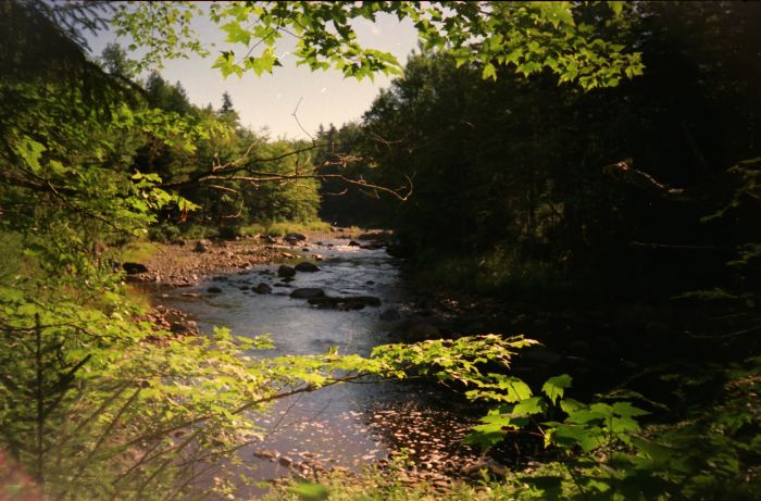 Another shot north along the Cold River, on the morning of my third day out (Thursday, August 10, 1995)