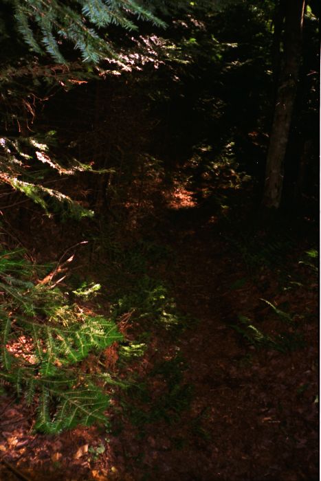 What the NP Trail looks like... [I was thrilled to be on it, and hoped to complete it some day.]