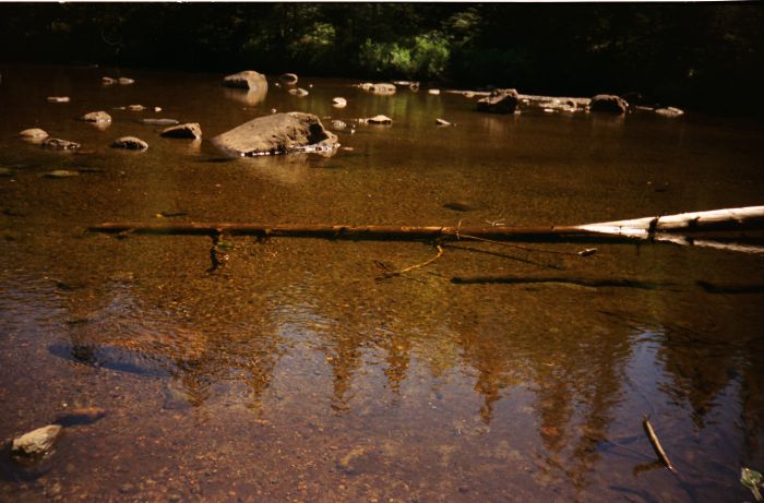 Looking south, across the Cold River at the ford.
