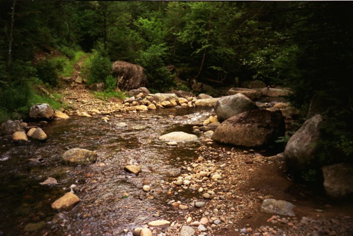 Heading south across Callahan Brook. This is Day 4 of my hike, Friday August 11, 1995.
