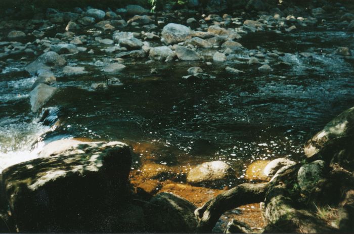 Great pool in Cold River at Northern Leantos #2