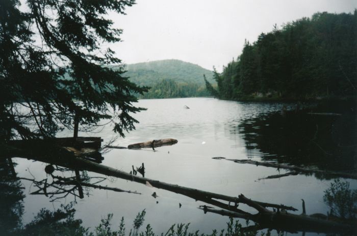 Preston Ponds