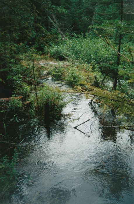 Flooded trail from Duck Hole to the Indian Pass Trail