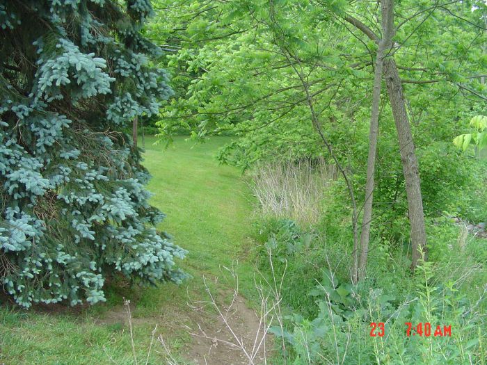After two or three minutes I take a left, off the sidewalk, along the east bank of Little Roland Run for about a hundred feet...