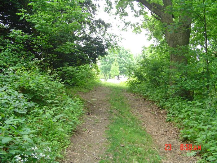 Coming up out of the Glen toward the Stephens Hall parking lot. My office is in Stephens. ET 1:20