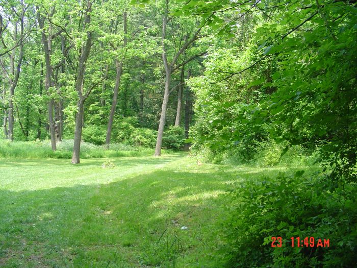 Starting my walk back home by descending into the Glen, I noticed a red fox near the point of foliage at the right of the path. I took no other photos on the return walk home, though.