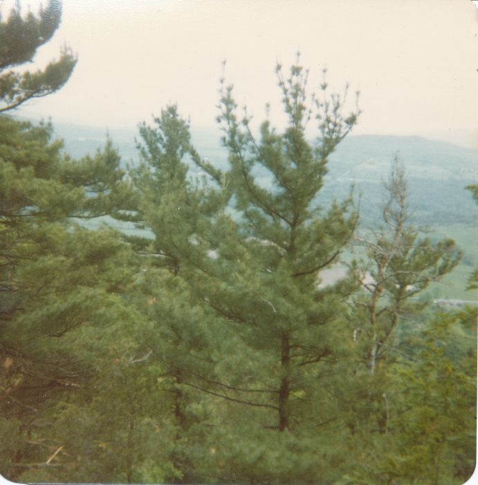 Southwest from Mt. Philo's summit