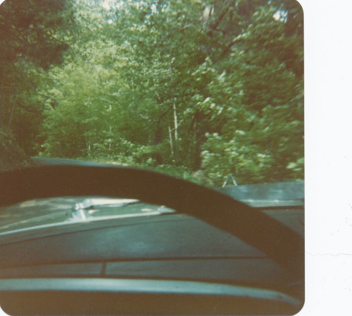 Climbing the Mt. Philo summit road