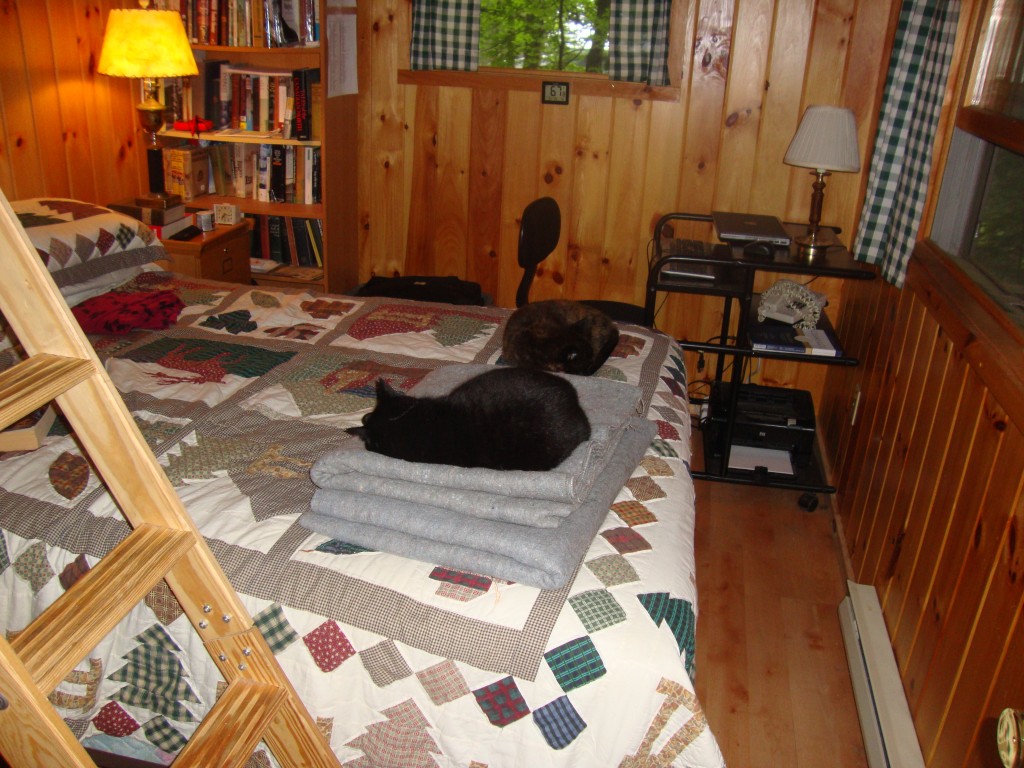 We arrived at camp at 5:17 PM on Sunday July 23, 2023 after a 9:15 485-mile drive. Two days later Callie (gray blankets) and Coco look comfortable.