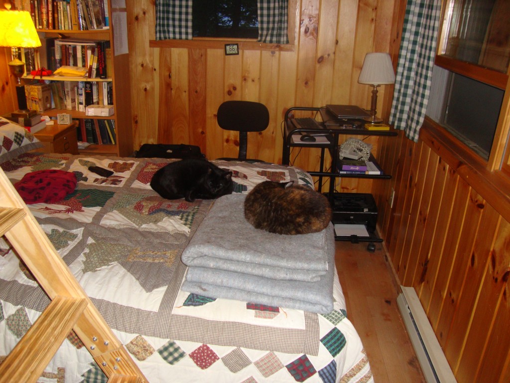 Coco has snagged the coveted gray blankets this time, but Callie doesn't look too upset. I see it is 66F in the doghouse.