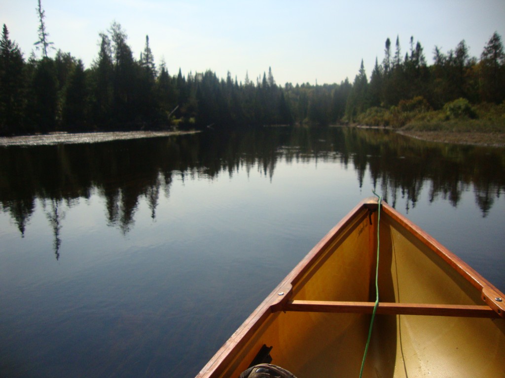 My first Lake Harris paddle. At 45 minutes, east along the south shore, I explored this. Does it flow into the lake?
