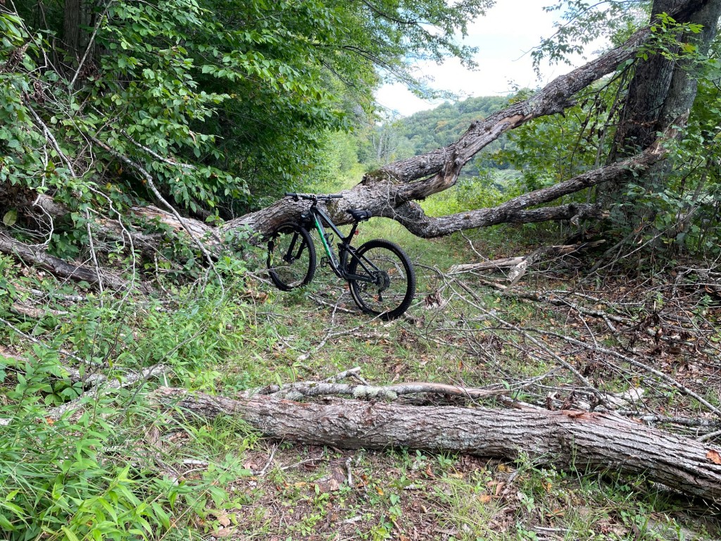 She also found this new impediment. She's about 45 minutes south of the sign now.