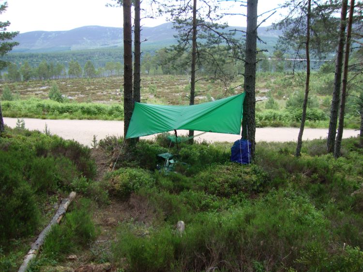 Saturday, July 2 (Day 37), I hoofed it from Glen Nevis back to Fort William and caught a bus to Aviemore. A nice fellow passenger drove me the six miles to Glenmore National Forest, where I began walking around Loch Morlich. This 6:45 PM shot shows my attempt to cope with the woody heather along the south shore by sleeping in my hammock.