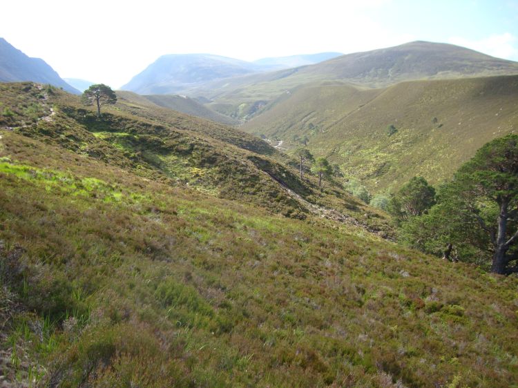 At 10:25 , the photo shows the path south (upper left) and stream (center). My Cicerone guide to the Cairngorms (by Ronald Turnbull) reports that " 'lairig' is a long path of the through-route sort; 'Ghru' is obscure." (p. 300) The Lairig Ghru is a popular hiking destination.