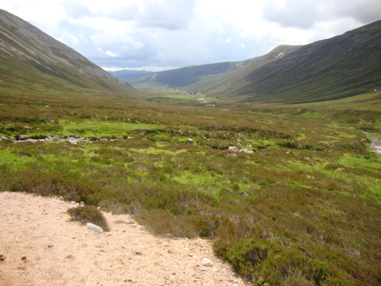 Friday July 8 (Day 43), I left Bob Scott's Bothy at 11AM and headed north up the Glen Derry toward Hutchison Memorial Hut. This 1:00 PM photo, about 1.5 km south of the hut, looks south, back the way I've come. This was a pretty easy walk, with just a little ascent, a little mud... and a few deer flies!