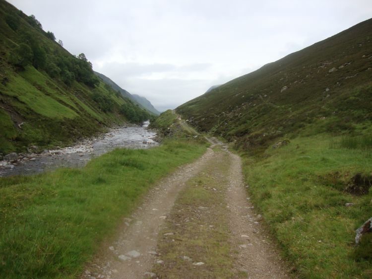 Soon after I crossed the Falls of Tarf bridge at 7:20 AM the path turned to this kind of road. I was wary of those sheep ahead because they had lambs, but soon they climbed off the trail. 