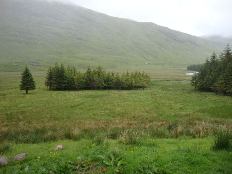 Thursday, June 9: This is the view to the northeast from the front door of A'Chuil Bothy. The Cape Wrath Trail's path from Strathan to Sourlies is over there, and the Upper Glendessary house is barely visible.
