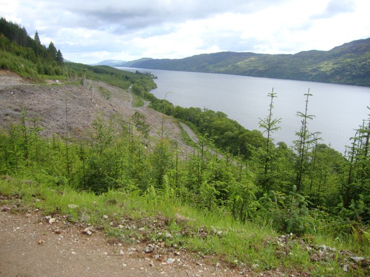My Way began its traverse up the west shore of Loch Ness on Tuesday June 14 (Day 19 for me). This shot, climbing out of Fort Augustus, looks northeast about 10:00 AM. Highway A82 is clearly visible down near the shore. 