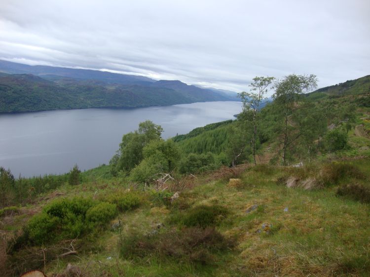 Wednesday, June 15 (Day 20), south along Loch Ness an hour of steady climbing out of Briarbank B&B. I'd just been passed by a faster, younger man who'd stayed at the Youth Hostel across A82 from Briarbank. Same price, he said, but no breakfast!