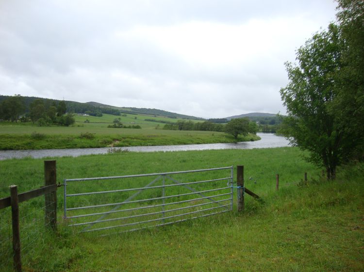 The River  Spey at noon on Wednesday, my second day on the Speyside Way. I'd walked on level grassy paths through fields like these most of the morning, north of Nethy Bridge.