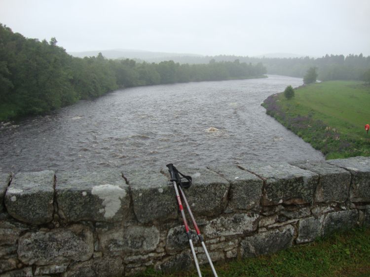 At Speybridge, about 12:30 PM, this charming bridge crossed the Spey around the 15  mile point. Then, cruising along a pleasant narrow road, I missed a turn and wound up at a busy highway traffic circle near Grantown-on-Spey. Backtracking to the entrance to Anagach Wood took only two minutes.   