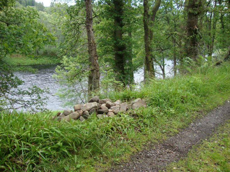 Walking was pleasant Friday June 24, the 29th day of my trip, as this 11:00 AM shot of the Spey suggests. I had just passed the Tamdhu and Knockando distilleries, and would see several others today.  The delightful easy day was a great contrast to yesterday's trip from Cromdale to Ballindalloch!   