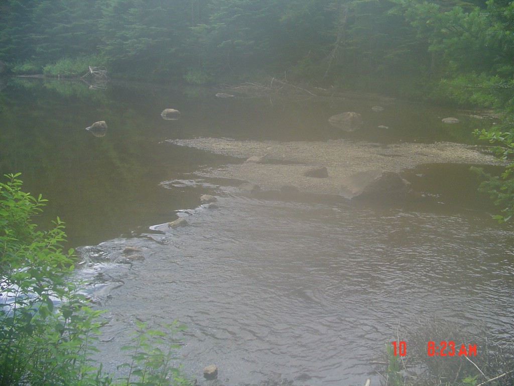 I'd left Northern #2 about 7:30 AM and was across the Cold, in boots, two hours later (east/south side to west/north side). This looks back across the ford. July 10, 2008