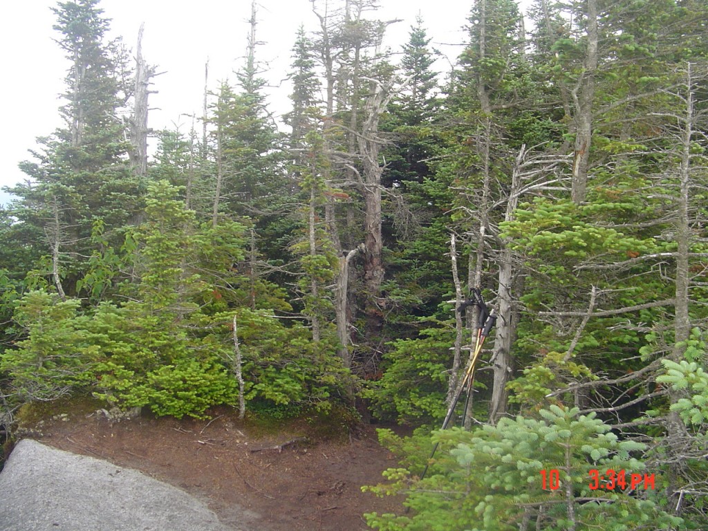 Looking toward the Seymour summi, from the rocky overlook. It's 3:30... let's get down to the Truck Trail! (The Ward Brook Leanto welcomed us back at 5:30 PM. It was 1:53 up and 2:02 down, Leanto / summit.)