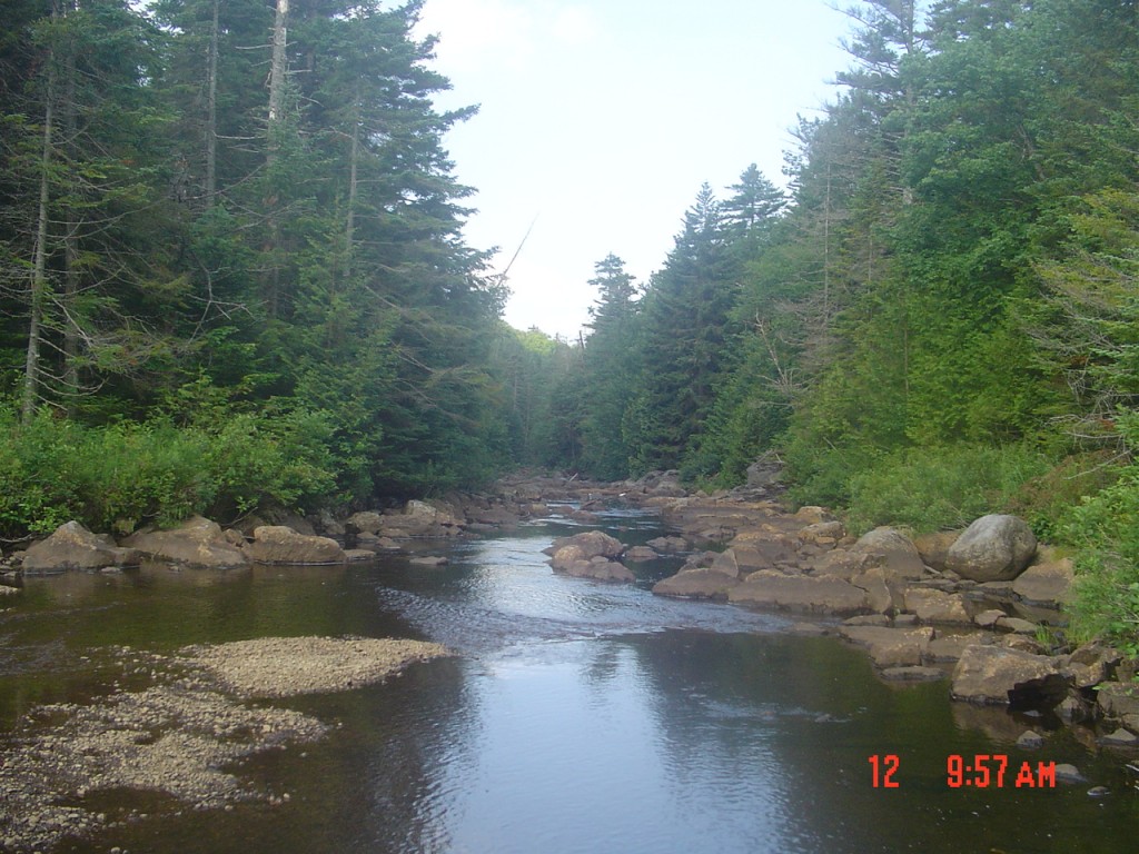 Here's a nice view of the Cold downstream from the gravel bar ford just south of Duck Hole. The Cold is my favorite river. It's been about 2 hours since leaving last night's shelter. In another 2 hours I reached Northern Leanto #2, where I stopped for the day (at about noon! What a bum!)