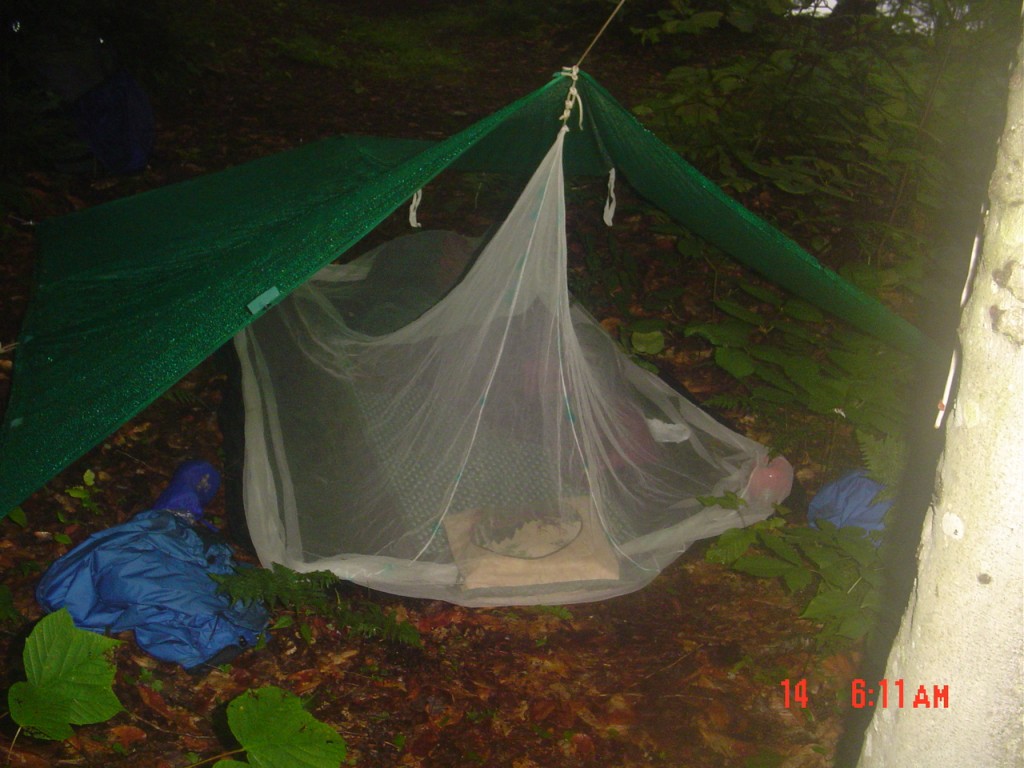 Monday morning at about 6AM: It worked! ...comfortable, mosquito-free, and dry! I made the head of the tarp quite high, tied to a tree, with the foot on a hiking pole July 14, 2008