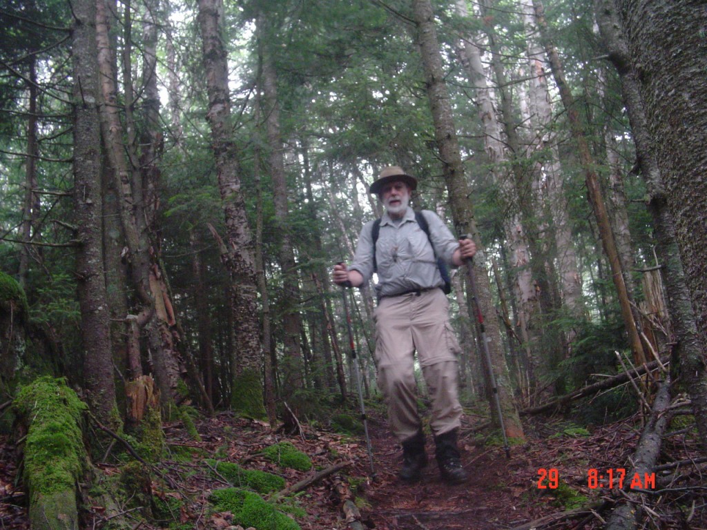 On July 29 2008 I drove to the Corey's Road (on Rt 3 between Tupper and Saranac Lakes) parking area and headed south on the Calkins Creek Horse Trail to the cairn for the pleasant Calkins Brook herd path. Here I'm 1:16 from the cairn.