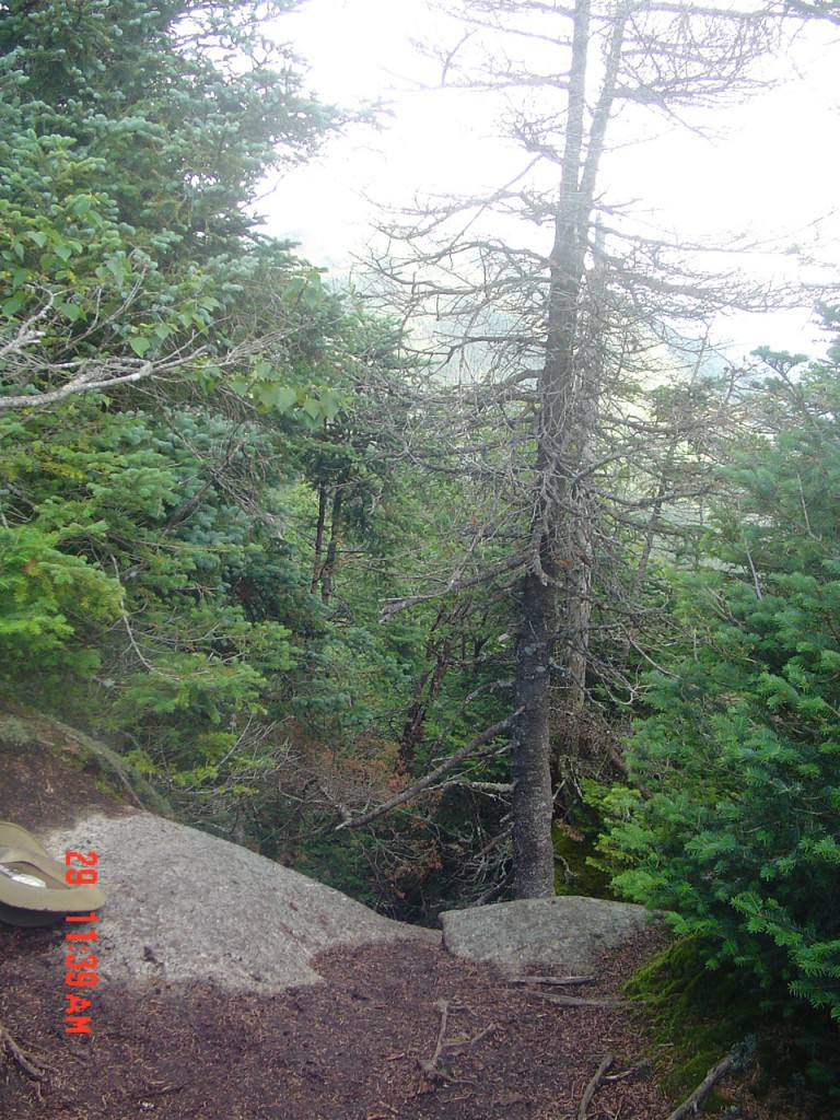 Ready to leave the Emmons summit, down this trail