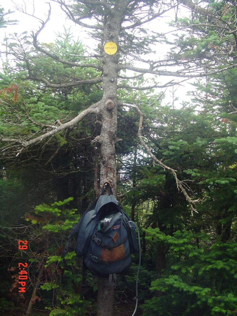 ...and the familiar Seward sign! I dropped down the path to the Ward Brook Truck Trail,turned left and walked to the Corey's Road parking area. The drive to the Goodnow in my faithful truck was uneventful... unlike January's Seymour attempt (q.v.!)
