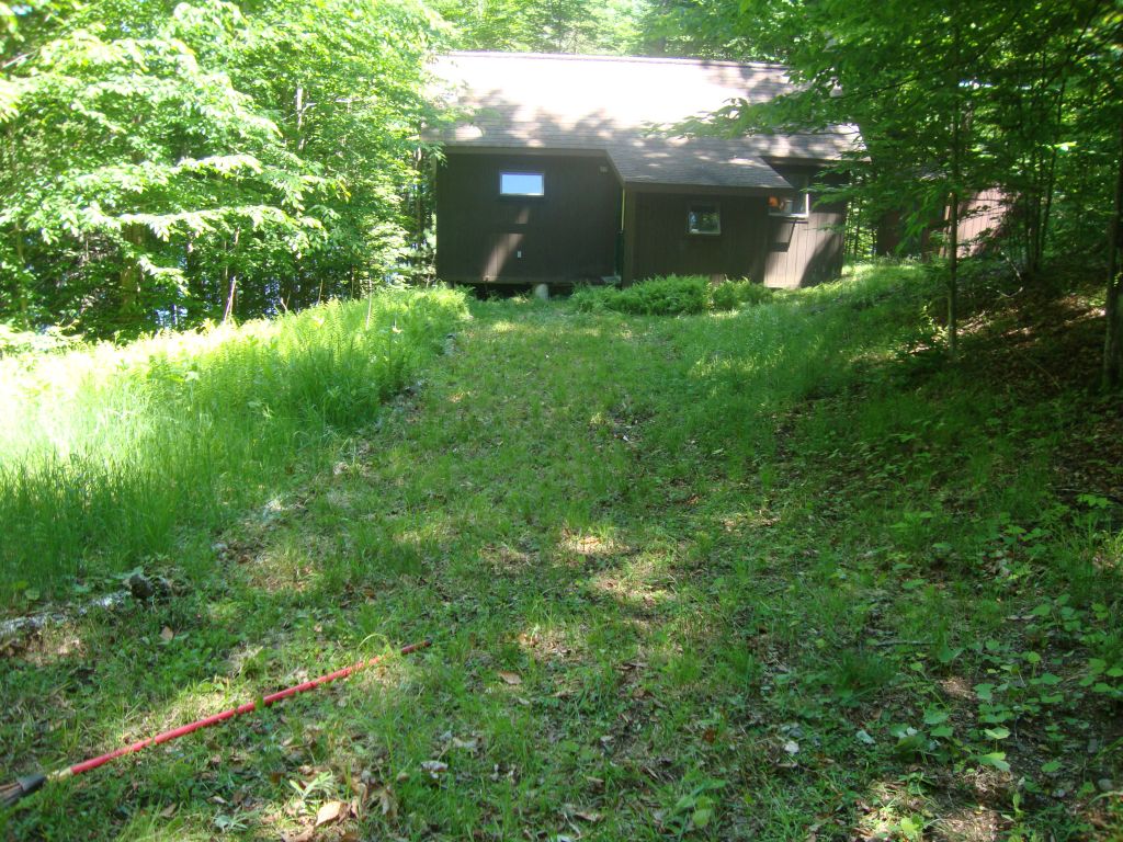 After whacking
This sub-driveway used to be large pine-bark chunks, but they've been taken over. This is Thursday morning after some whacking and raking labor.