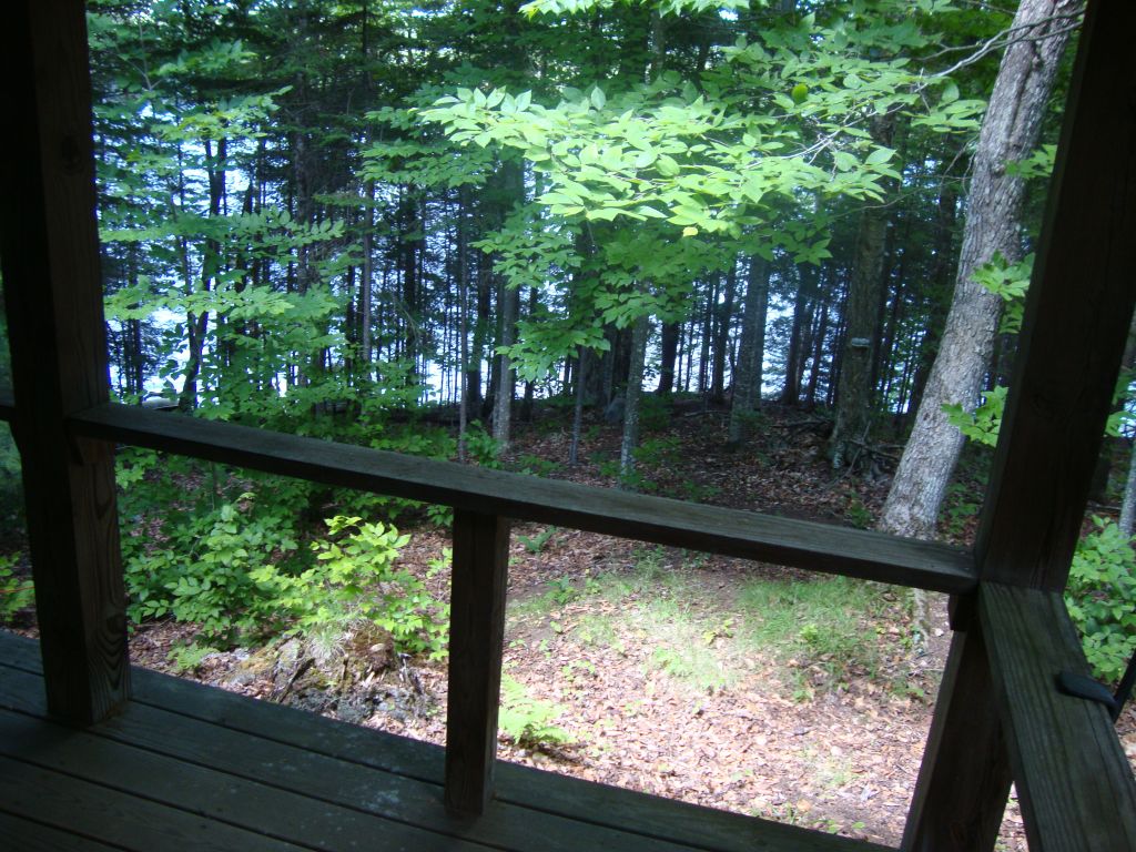 Porch to northeast
This shot, without flash, is more due north. The lot's northeast corner, on the shore, may be behind the porch corner post. My tent site reading spot is downhill behind the tree with the fungus. 