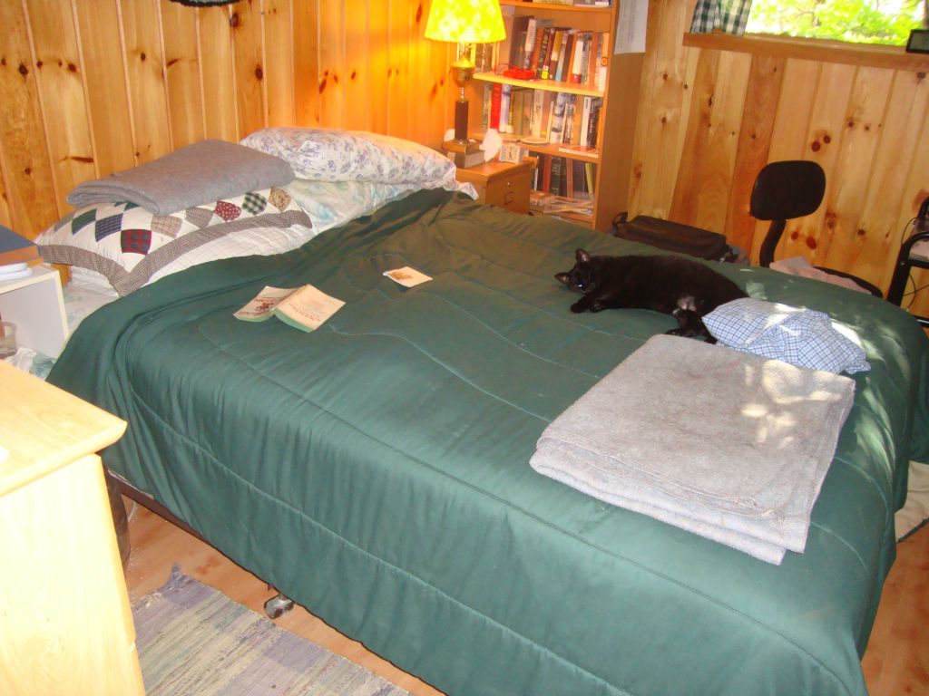 Callie and... where's Coco?
There are two black cats on my wonderful bed! What a treat it was, especially on a rainy and windy day, to crawl in for some feline affection, casual reading, and an afternoon nap!