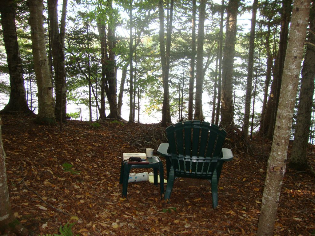 View from Tentsite
This is my favorite place to read. Always has been. When we first bought Lot 49 I'd sit here, look up through the trees, and just be swept away with how fortunate Helen and I are to have his place.