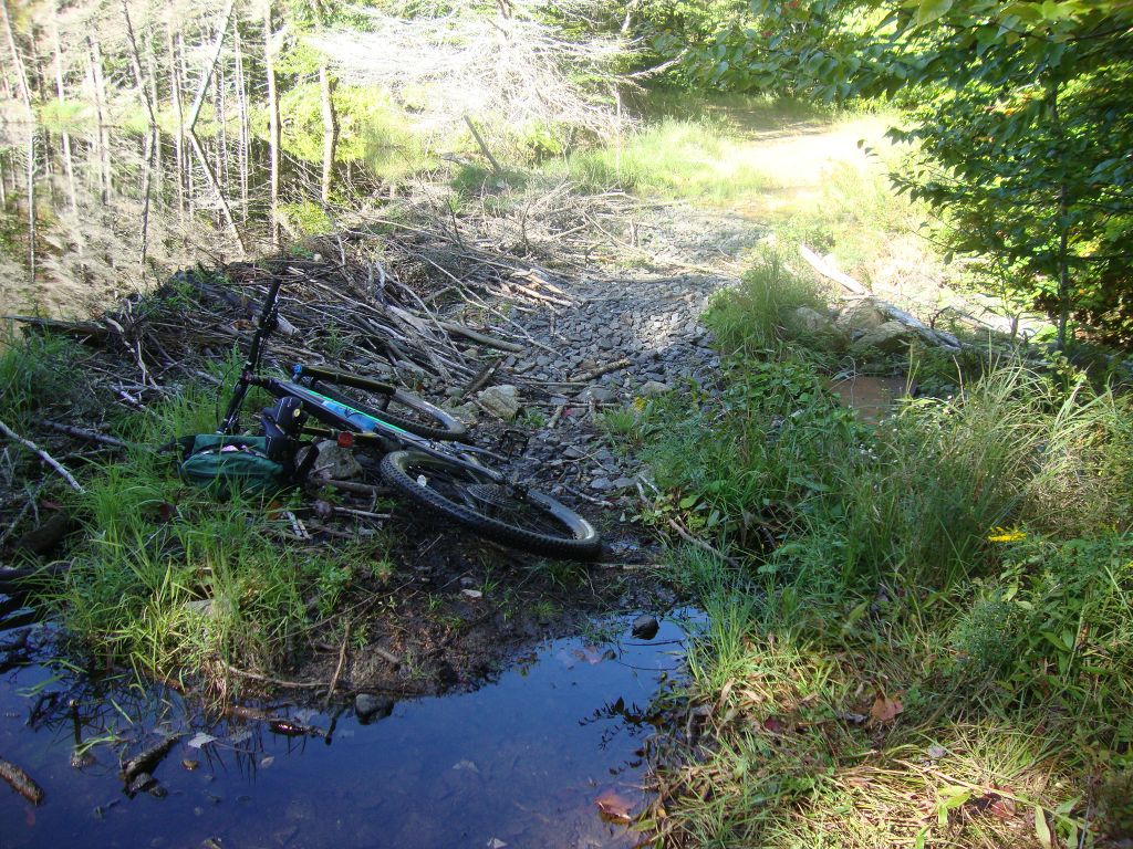 Bike at Gooley Club Road flooding
It was not difficult to carry the bike across on rocks and saplings. On another ride past the  Gooley Club to the Cedar River I found several more of these.
