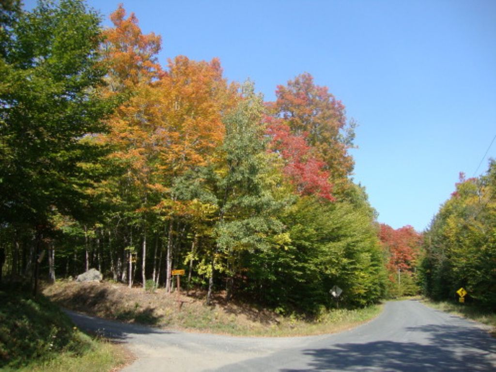 Late September colors at Memory Lane
As I started on my clockwise walk around the lake, I turned back to snap this, looking east along Goodnow Flow Road at Memory Lane. Otter Pond is on the right.