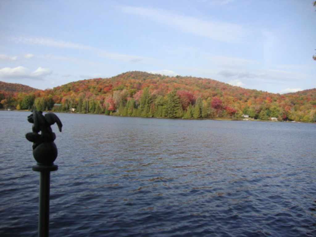 Fall foliage across the lake
Late September, looking north from my dock. The gargoyles weren't especially impressed.