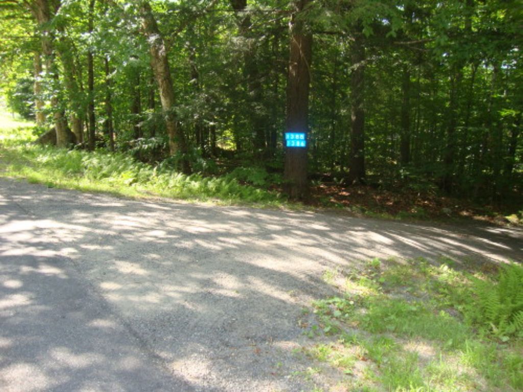 My new street signs
After admiring similar street-number signs on others' camps I obtained these for Werdigo and Loonatic Landing (Mike and Dan's #48). Reaching this tree from my electric pole took two 100' plus one 50' extension cords.