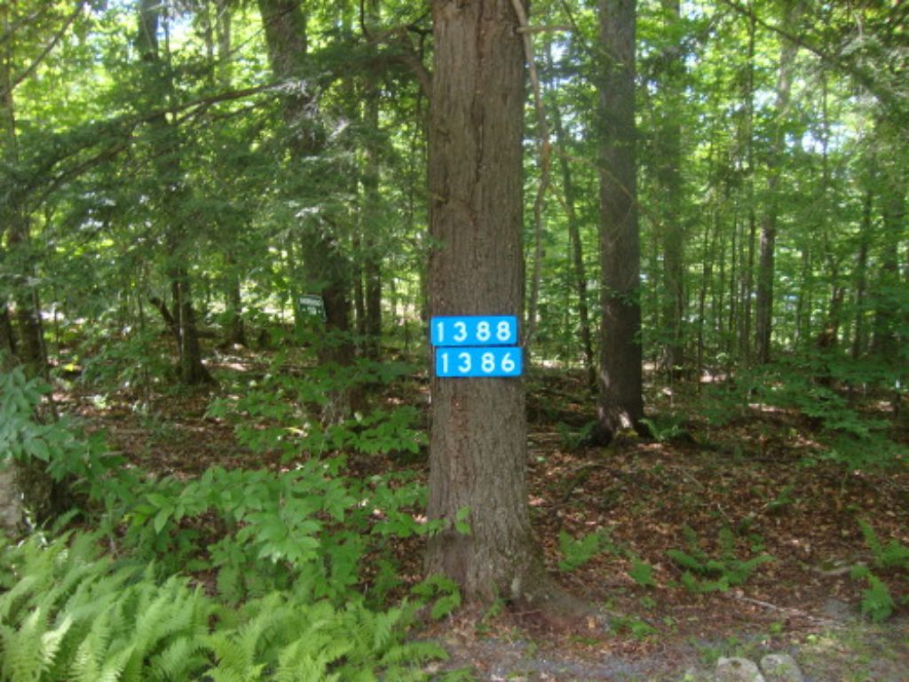 The signs, closer
I did level them but because of bark irregularity did not try to aliign them.
Werdigo, of course, is 1388 and Loonatic Landing 1386.