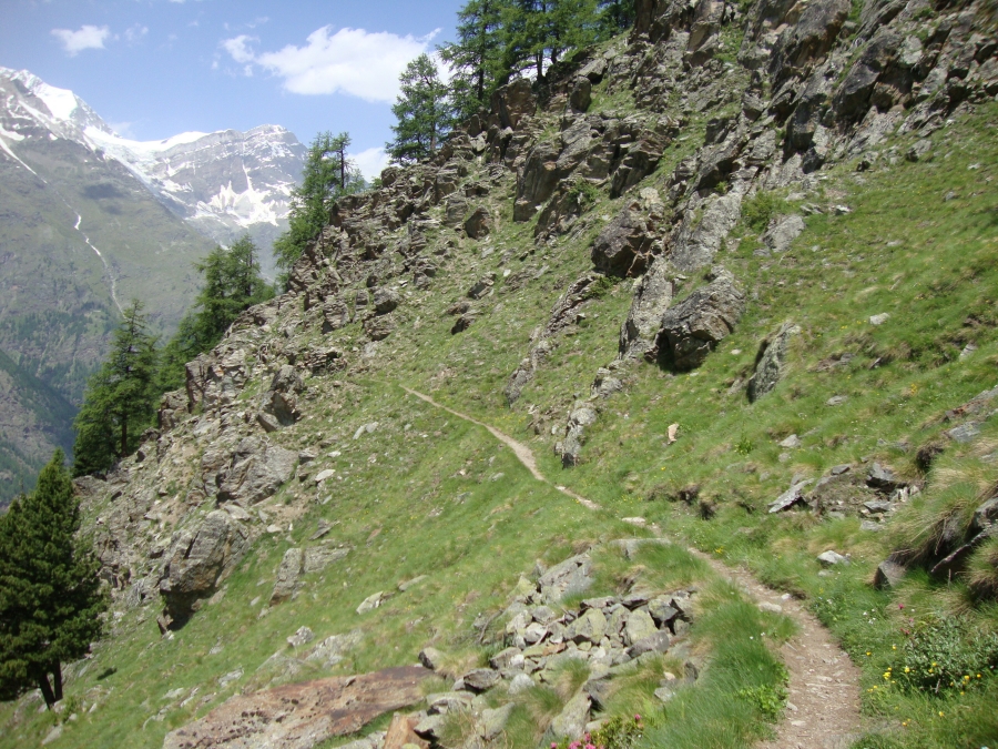 Heading north on the Europaweg, I'm half an hour out of my lunch stop and 15 minutes south of the turn east to Taschalp. This gives an idea of the trail.