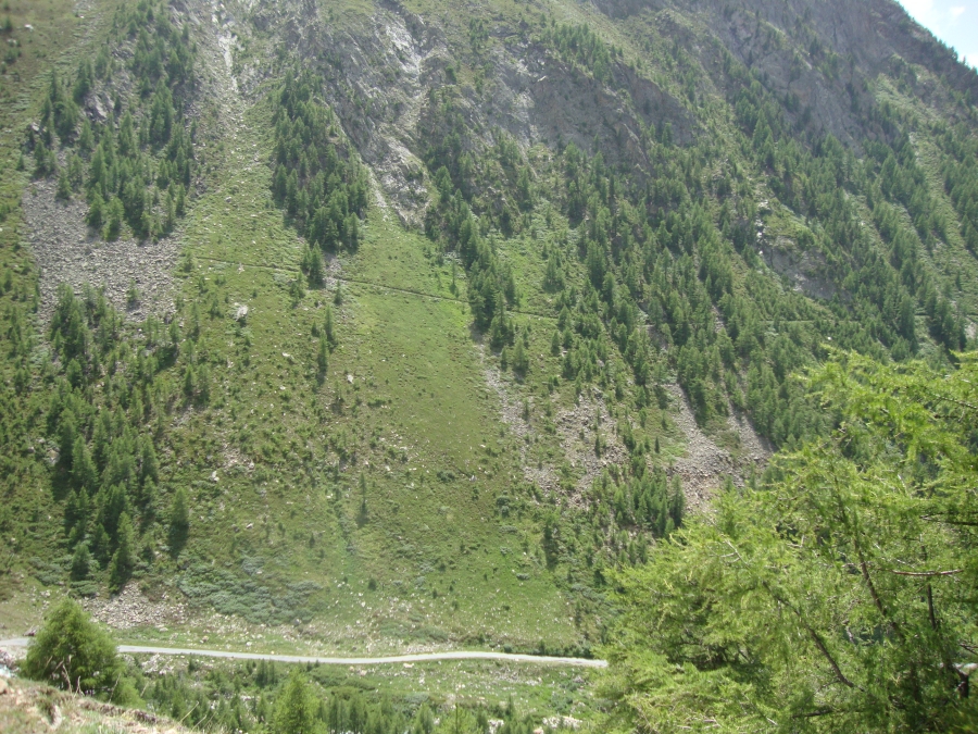 At 2:30 PM I've passed through Taschalp, where the restaurant charged me 2 ChF for 2 liters of tap water. This photo looks back south, with the trail on which I walked about an hour ago cutting across the steep hillside above the road to Taschalp.