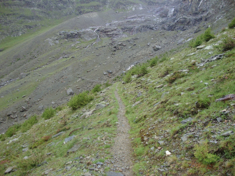 A closer view makes the actual trail seem a bit less frightening. I'm still headed for the stream, but here it's obscured by a turn in the trail.